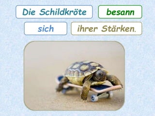 Die Schildkröte erfreute
bester Gesundheit.sich
 