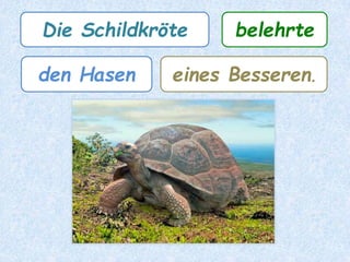 Die Schildkröte besann
ihrer Stärken.sich
 