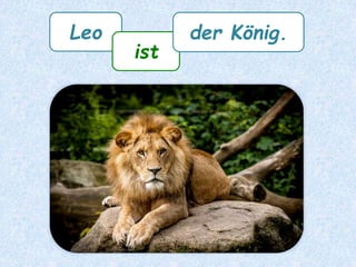 berauben
all seiner HoffnungenJdn.
Spanisch:
robarle sus esperanzas a alguien
 