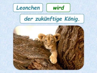 Der Hase
schämte
seiner.sich
 