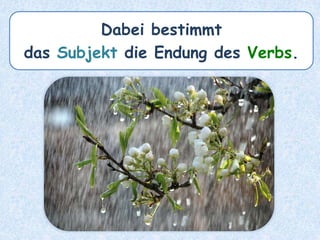 Das Subjekt bestimmt
die Endung des Verbs.
 