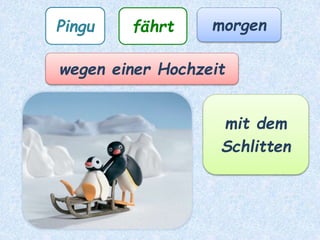 Malti spielt
mit dem Ball.
 