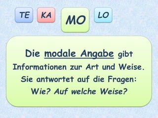 Poldi sucht nach
Eukalyptusblättern.
 