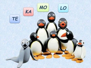 Leonchen wird
der zukünftige König.
 