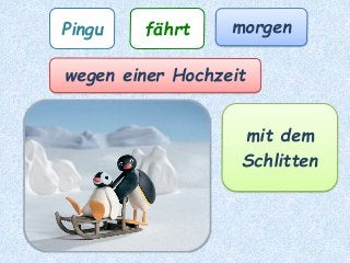 Pingu fährt morgen
wegen einer Hochzeit
mit dem
Schlitten
 