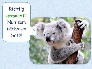 Wir sind letzten Monat
ganz spontan zu Ella
geflogen.
 