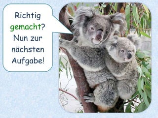 Wir lagen
an den nächsten Tagen
meistens faul
am Strand.
wegen der starken Hitze
 