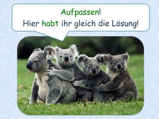 Müde? Nun zum letzten Satz!
 