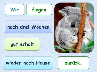 Wirflogen
nach drei Wochen
gut erholt
wieder nach Hause
zurück
 