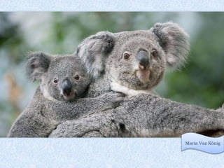 Wir flogen
nach drei Wochen
gut erholt
wieder nach Hause zurück.
 