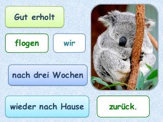 wirflogen
nach drei Wochen
Gut erholt
wieder nach Hause zurück.
 