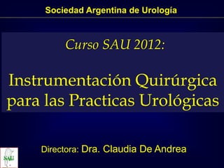 Sociedad Argentina de Urología
Curso SAU 2012:
Instrumentación Quirúrgica
para las Practicas Urológicas
Directora: Dra. Claudia De Andrea
 