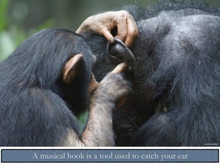 A musical hook is a tool used to catch your ear
https://ﬂic.kr/p/KWh5Z
https://ﬂic.kr/p/pvRaXv
 