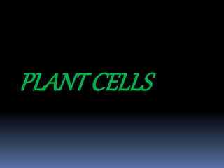 PLANT CELLS
 