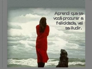 Aprendi que se você procurar a felicidade, vai se iludir.   