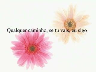 Qualquercaminho, se tuvais, eusigo