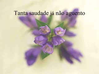 Tanta saudade já não aguento