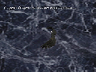 é o gosto de morte na boca dos que continuam ... 