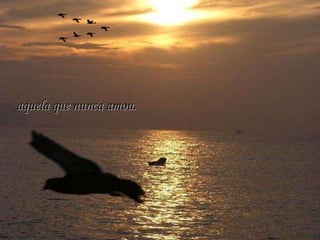 aquela que nunca amou. 