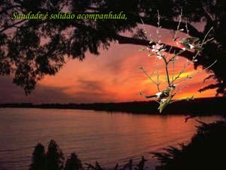 Saudade é solidão acompanhada, 