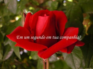 Em um segundo em tua companhia?
 