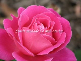 Sentir saudade é o meu castigo
 