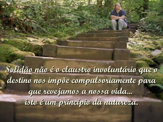 Solidão não é o claustro involuntário que o destino nos impõe compulsoriamente para que revejamos a nossa vida...  isto é um princípio da natureza. 