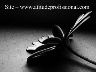 Site – www.atitudeprofissional.com 