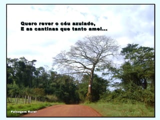 Quero rever o céu azulado,Quero rever o céu azulado,
E as cantinas que tanto amei...E as cantinas que tanto amei...
Paisagem RuralPaisagem Rural
 