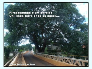 Pirassununga é um paraísoPirassununga é um paraíso
Oh! linda terra onde eu nasci...Oh! linda terra onde eu nasci...
Ponte Cachoeira de EmasPonte Cachoeira de Emas
 