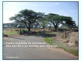 Tenho saudade do horizonteTenho saudade do horizonte
Das serras e os montes que me criei...Das serras e os montes que me criei...
Paisagem ruralPaisagem rural
 