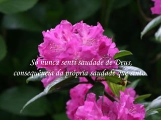Só nunca senti saudade de Deus,
consequência da própria saudade que sinto.
 