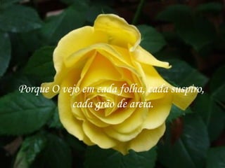 Porque O vejo em cada folha, cada suspiro,
           cada grão de areia.
 