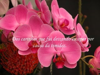 Dos carinhos que fui deixando escapar por
          causa da timidez.
 