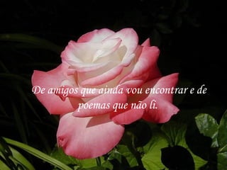 De amigos que ainda vou encontrar e de
         poemas que não li.
 