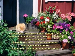 Construção de tantos ninhos, morada onde
criaste muitos filhotes, que hoje gorjeiam em
              outras paragens.
    Casebre de juras, primeira namorada,
          realizações dos sonhos.
   O sonho de cidade grande tomou conta.
 