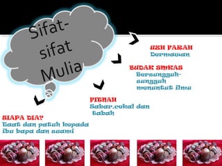 Sifat-
sifat
Mulia
FITNAH
Sabar,cekal dan
tabah
UZH FARAH
Dermawan
BUDAK SMKAS
Bersungguh-
sungguh
menuntut ilmu
SIAPA DIA?
Taat dan patuh kepada
ibu bapa dan suami
 