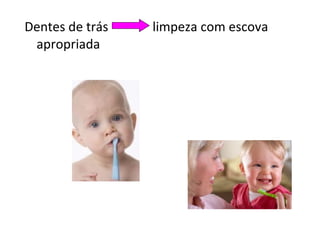 Dentes de trás    limpeza com escova apropriada 