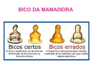 BICO DA MAMADEIRA 