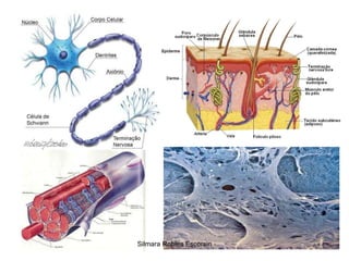 Silmara Robles Escorsin 