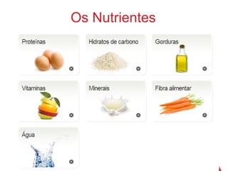 Os Nutrientes
 