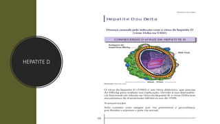 HEPATITE D
 