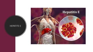 HEPATITE E
 