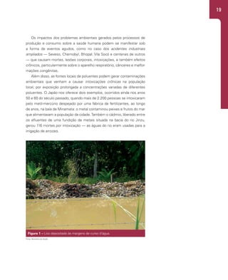 19
Os impactos dos problemas ambientais gerados pelos processos de
produção e consumo sobre a saúde humana podem se manifestar sob
a forma de eventos agudos, como no caso dos acidentes industriais
ampliados — Seveso, Chernobyl, Bhopal, Vila Socó e centenas de outros
— que causam mortes, lesões corporais, intoxicações, e também efeitos
crônicos, particularmente sobre o aparelho respiratório, cânceres e malfor-
mações congênitas.
Além disso, as fontes locais de poluentes podem gerar contaminações
ambientais que venham a causar intoxicações crônicas na população
local, por exposição prolongada a concentrações variadas de diferentes
poluentes. O Japão nos oferece dois exemplos, ocorridos ainda nos anos
50 e 60 do século passado, quando mais de 2.200 pessoas se intoxicaram
pelo metil-mercúrio despejado por uma fábrica de fertilizantes, ao longo
de anos, na baía de Minamata: o metal contaminou peixes e frutos do mar
que alimentavam a população da cidade.Também o cádmio, liberado entre
os efluentes de uma fundição de metais situada na bacia do rio Jinzu,
gerou 116 mortes por intoxicação — as águas do rio eram usadas para a
irrigação de arrozais.
Figura 1 – Lixo depositado às margens de curso d’água.
Fonte: Ministério da Saúde.
 