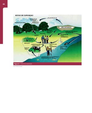 44
Figura 8 - Rotas de exposição.
Fonte: Ministério da Saúde.
 
