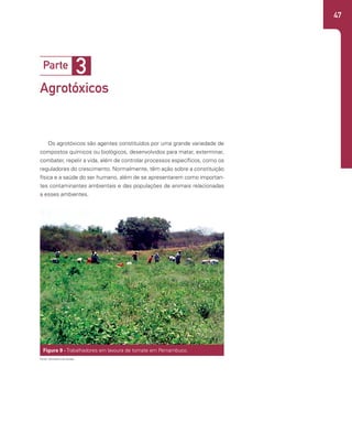 47
Os agrotóxicos são agentes constituídos por uma grande variedade de
compostos químicos ou biológicos, desenvolvidos para matar, exterminar,
combater, repelir a vida, além de controlar processos específicos, como os
reguladores do crescimento. Normalmente, têm ação sobre a constituição
física e a saúde do ser humano, além de se apresentarem como importan-
tes contaminantes ambientais e das populações de animais relacionadas
a esses ambientes.
3
Parte
Agrotóxicos
Figura 9 - Trabalhadores em lavoura de tomate em Pernambuco.
Fonte: Ministério da Saúde.
 