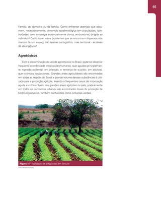 65
Família, do domicílio ou da família. Como enfrentar doenças que assu-
mem, necessariamente, dimensão epidemiológica (em populações, cole-
tividades) com estratégia essencialmente clínica, ambulatorial, dirigida ao
indivíduo? Como atuar sobre problemas que se encontram dispersos nos
marcos de um espaço não apenas cartográfico, mas territorial - as áreas
de abrangência?
Agrotóxicos
Com a disseminação do uso de agrotóxicos no Brasil, pode-se observar
frequente ocorrência de intoxicações humanas, quer agudas (principalmen-
te ingestão acidental, em crianças, e tentativa de suicídio, em adultos),
quer crônicas ocupacionais. Grandes áreas agricultáveis são encontradas
em todas as regiões do Brasil e grande volume dessas substâncias é utili-
zado para a produção agrícola, levando a frequentes casos de intoxicação
aguda e crônica. Além das grandes áreas agrícolas no país, praticamente
em todos os perímetros urbanos são encontrados locais de produção de
hortifrutigranjeiros, também conhecidos como cinturões verdes.
Figura 11 – Aplicação de praguicidas em lavoura
Fonte: Ministério da Saúde.
 