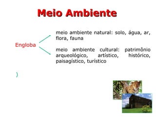 Meio AmbienteMeio Ambiente
Engloba
meio ambiente natural: solo, água, ar,
flora, fauna
meio ambiente cultural: patrimônio
arqueológico, artístico, histórico,
paisagístico, turístico
)
 