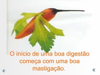 O início de uma boa digestão começa com uma boa mastigação .  