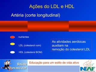 nutrientes LDL (colesterol ruim) HDL (colesterol BOM) Artéria (corte longitudinal) Ações do LDL e HDL As atividades aeróbicas auxiliam na  remoção do colesterol LDL 